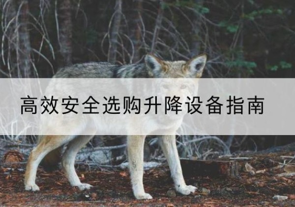 塔河升降货梯厂家推荐-*安全选购升降设备指南