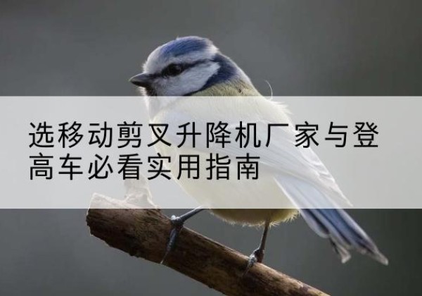 塔河电动升降机厂家-选移动剪叉升降机厂家与登高车必看实用指南